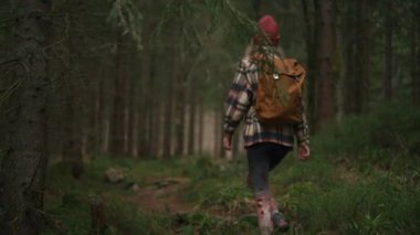 Back view of the woman in autumn clothes walking in autumn forest. Female hiker with backpack going up through wet wood with green trees