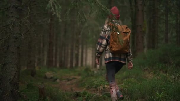 Back View Woman Autumn Clothes Walking Autumn Forest Female Hiker — Wideo stockowe