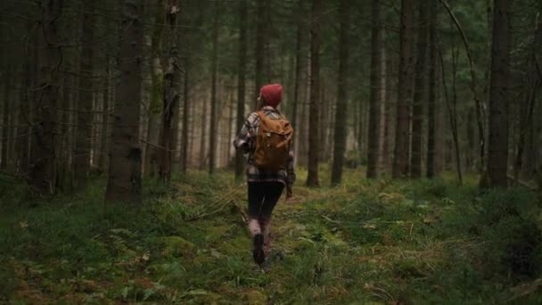 回顾金发碧眼的高加索女人走在树林里 环顾四周 欣赏大自然的美丽 业余爱好 娱乐时间概念 — 图库视频影像