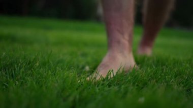 Cropped view of the man bare feet walking on wet green grass with sunlight. Guy legs in the cool morning dew on the grass 