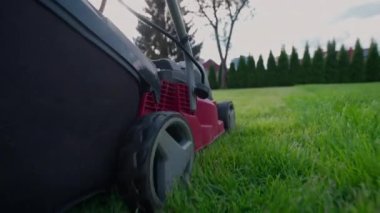 Close up view of the lawn mower mows fresh, green grass on the lawn. Municipal worker with a lawn mower. Lawn care service concept 
