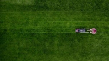 Top view of the man pushing lawn mower for cutting grass in garden with sunlight at summer. Aerial view. Lawn care service concept