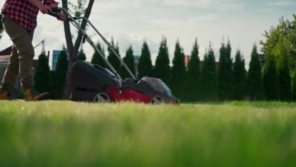 Cropped View Man Mowing Green Grass Modern Garden Lawn Mower — Stockvideo