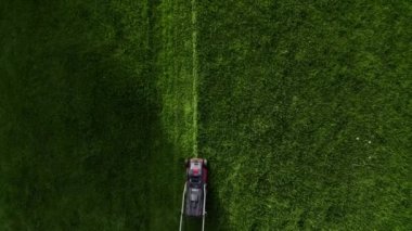 Professional worker with lawn mower mows the grass, top view. Unknown man in work uniform cuts grass alone. Lawn care service concept