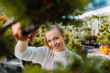 Önlüklü kadın bahçıvan bitkilerle ilgileniyor. Bitkilerin bakış açısı. Yüksek kalite fotoğraf