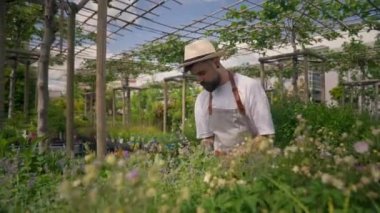 Man farm business owner going through his plantation with wooden container and putting pots with plants inside it. Greenhouse worker with wooden box in hands