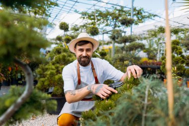 Man farm business owner going through his plantation with wooden container and putting pots with plants inside it. Greenhouse worker with wooden box in hands