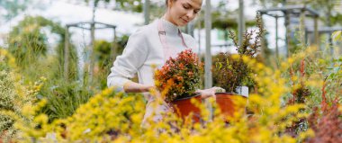 Elinde bir kutu çiçek tutan kadın botanikçi. Ticaret, online sipariş. Yüksek kalite fotoğraf