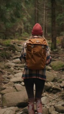 Back view of the young woman hiking in forest. Active healthy caucasian woman with backpack traking in wood. Female traveler walks along forest rear view. Leisure, bio-tourism, hiking concept