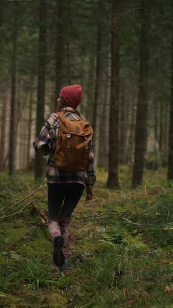 Back View Blonde Caucasian Woman Walking Woods Looks Enjoys Beauty — Vídeos de Stock