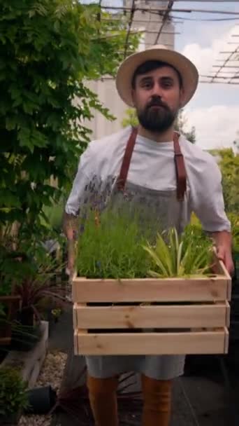 Skilful Bearded Man Small Business Worker Taking Box Fresh Plants — Stock Video