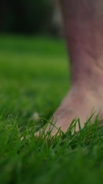 Κεκλιμένη Θέα Του Άνδρα Γυμνά Πόδια Περπάτημα Υγρό Πράσινο Γρασίδι — Αρχείο Βίντεο