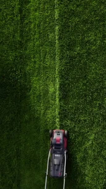 Professional Worker Lawn Mower Mows Grass Top View Unknown Man — Stockvideo