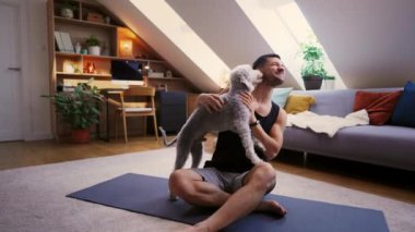 Mutlu yakışıklı genç adam evde köpekle oynuyor. Yoga minderinde oturan çekici bir adam. Heyecanlı köpek, evcil hayvanla alay eden sahibini yalıyor. Şık bir dairede eğleniyoruz.