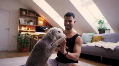 Sevimli köpek sahibine beş pençe veriyor. Mutlu yakışıklı genç adam evde köpekle oynuyor. Çekici adam şık bir dairede yoga minderinde oturuyor.