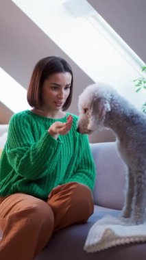 Kanepede oturan bir kadın, köpeğiyle oynarken gülümsüyor. Koluyla hareket ediyor ve parmağını gösteriyor, etoburu bir oyuncağın peşinden koşturuyor. Tüylü arkadaşıyla eğlenceli zamanlardı.