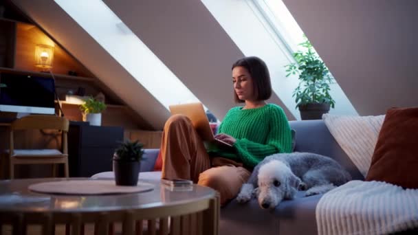 Молода Жінка Працює Ноутбуці Сидячи Дивані Милою Собакою Ввечері Вдома — стокове відео