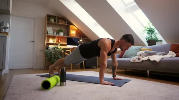 强壮的运动健美的男人准备在家里的宽敞明亮的公寓里做运动 室内简约 狗躺在沙发上 免版税图库视频