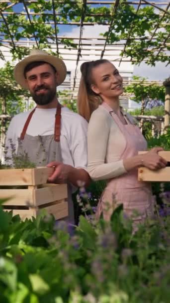 Garden Workers Aprons Looking Camera High Quality Photo Royalty Free Stock Footage