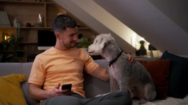 Esmer, mutlu adam sevimli gri köpeğini okşuyor ve evde birlikte eğleniyor. Yakışıklı adam kanepede oturuyor ve akşamları gri köpekleri okşuyor.