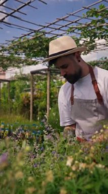 Man farm business owner going through his plantation with wooden container and putting pots with plants inside it. Greenhouse worker with wooden box in hands