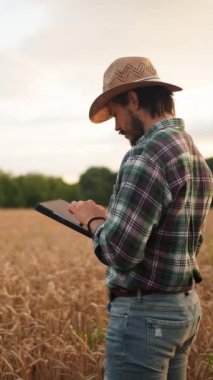 Modern bir çiftçi buğday tarlasında bir tablet kullanır, verileri ve teknolojiyi harmanlayarak üretkenliği arttırır.