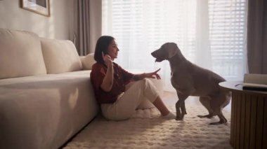 Parlak, güneşli bir yerde mutlu bir kadınla köpeği arasında paylaşılan neşeli bir an.