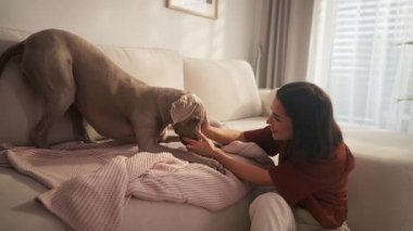 Bir kadın kanepede köpeğiyle vakit geçirmekten zevk alır. Sevgi ve dostluk gösterisi yapar..