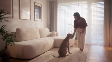 Güzel tasarlanmış ve iyi aydınlatılmış bir oturma odasında, bir kadın kendini köpeğini eğitmeye adamıştır.