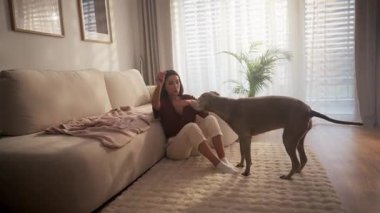 Bir kadın ve köpeği, sıcak ve davetkar bir oturma odasında keyifli bir etkileşimi paylaşıyor.