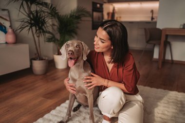 Neşeli ve mutlu bir kadın Weimaraner köpeğiyle şık bir oturma odasında bağ kuruyor.