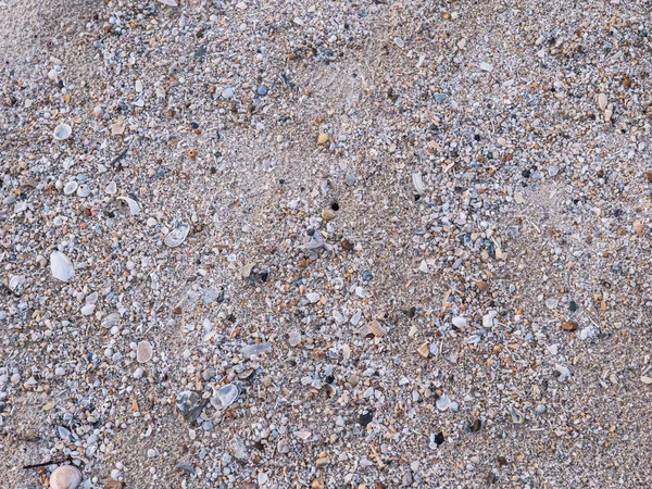 Piaszczysta Powierzchnia Plaży Naturalnym Piaskiem Małymi Fragmentami Fragmentów Kory Wiele — Zdjęcie stockowe