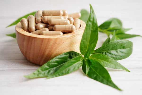 stock image Andrographis paniculata or Kariyat leaf plant with herb capsules to treating covid19 coronavirus infection.