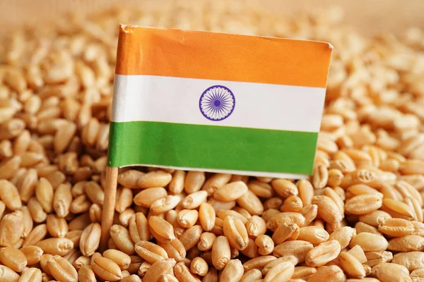 stock image India on grain wheat, trade export and economy concept.