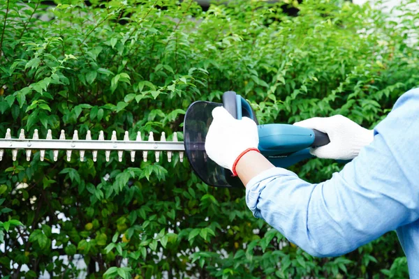 Κηπουρός Κλαδεύει Θάμνους Από Ηλεκτρικά Κλαδευτήρια Στον Κήπο Χόμπι Στο — Φωτογραφία Αρχείου