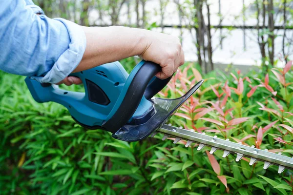 Tukang Kebun Memangkas Semak Dengan Pemotongan Pagar Listrik Kebun Hobi — Stok Foto