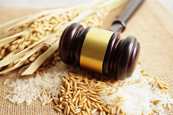 stock image Judge gavel hammer with good grain rice from agriculture farm. Law and justice court concept.