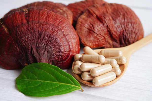 Lingzhi or Reishi mushroom with capsules, organic natural healthy food.
