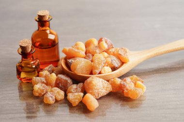 Tütsü veya olibanum aromatik reçine tütsü ve parfümlerde kullanılır..