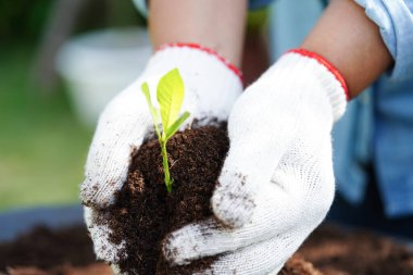 Elle büyüyen ağaç, eko dünya günü, dünyayı kurtar, yeşile dön