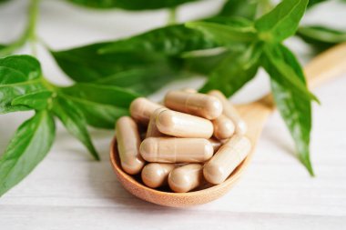 Kovid19 Coronavirus enfeksiyonunu tedavi etmek için bitki kapsüllü panikleme ya da kariyer yaprağı bitkisi..