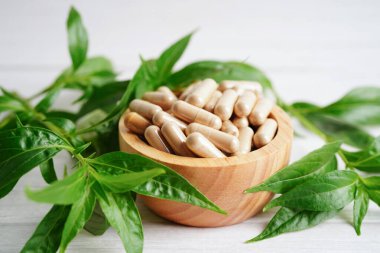 Kovid19 Coronavirus enfeksiyonunu tedavi etmek için bitki kapsüllü panikleme ya da kariyer yaprağı bitkisi..