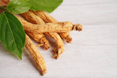 Ginseng kökleri ve yeşil yaprak, sağlıklı yiyecekler..