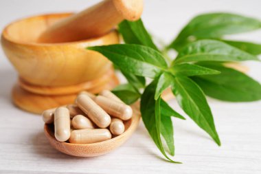 Kovid19 Coronavirus enfeksiyonunu tedavi etmek için bitki kapsüllü panikleme ya da kariyer yaprağı bitkisi..   