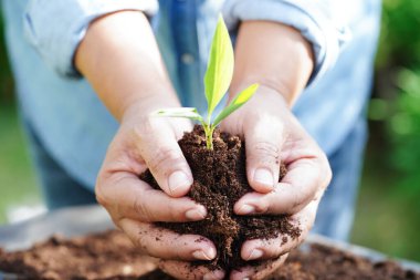 Elle büyüyen ağaç, eko dünya günü, dünyayı kurtar, yeşile dön