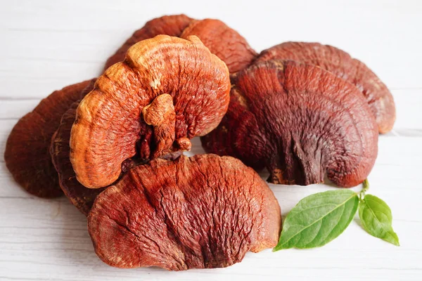 stock image Lingzhi or Reishi mushroom with capsules, organic natural healthy food.