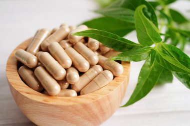 Kovid19 Coronavirus enfeksiyonunu tedavi etmek için bitki kapsüllü panikleme ya da kariyer yaprağı bitkisi..