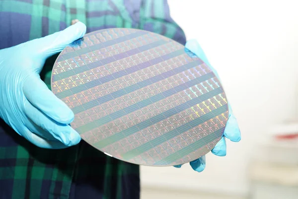 Stock image Silicon wafer for manufacturing semiconductor of integrated circuit.