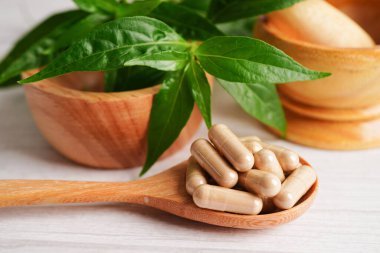 Kovid19 Coronavirus enfeksiyonunu tedavi etmek için bitki kapsüllü panikleme ya da kariyer yaprağı bitkisi.. 