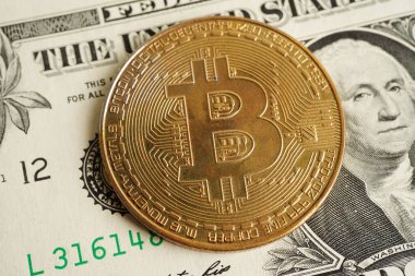ABD doları üzerindeki altın bitcoin ticari ve ticari para, dijital para, sanal kripto para, engelleme teknolojisi için para banknotları.          